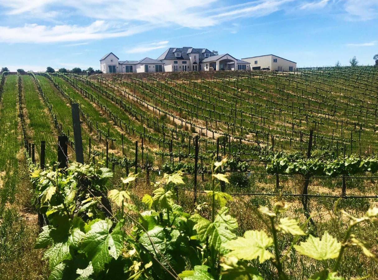 Bed and Breakfast Domaine Chardonnay à Temecula Extérieur photo
