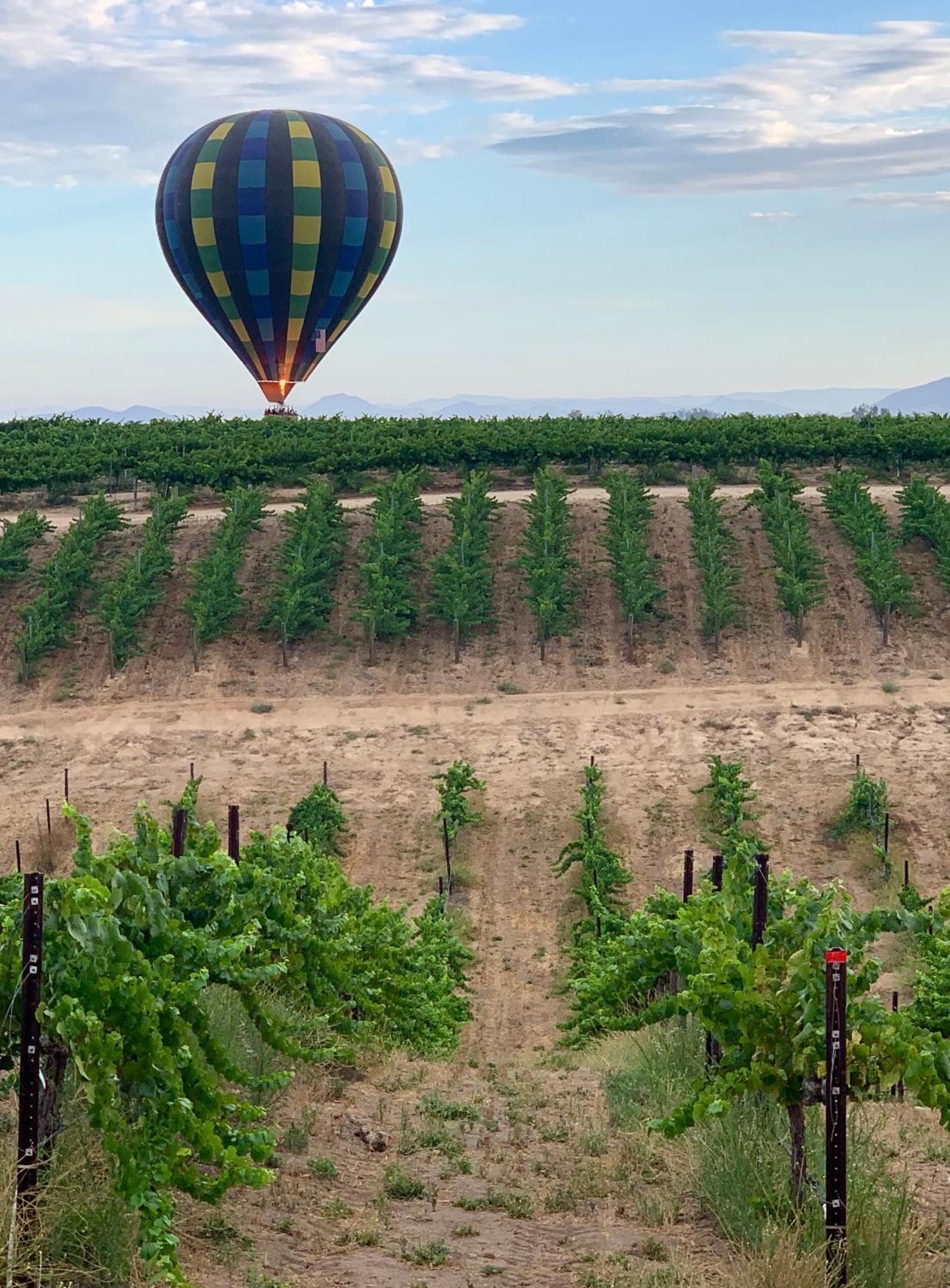 Bed and Breakfast Domaine Chardonnay à Temecula Extérieur photo