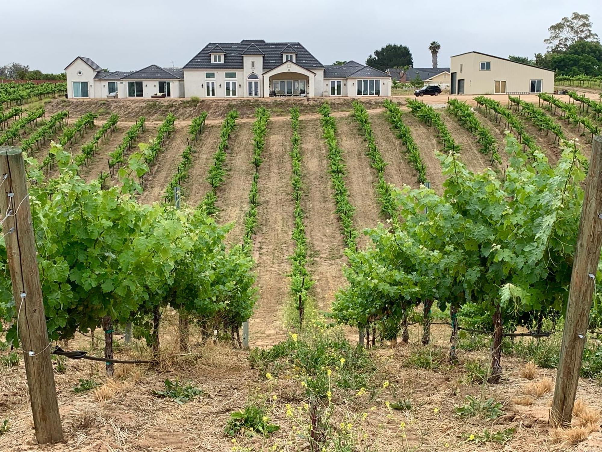 Bed and Breakfast Domaine Chardonnay à Temecula Extérieur photo